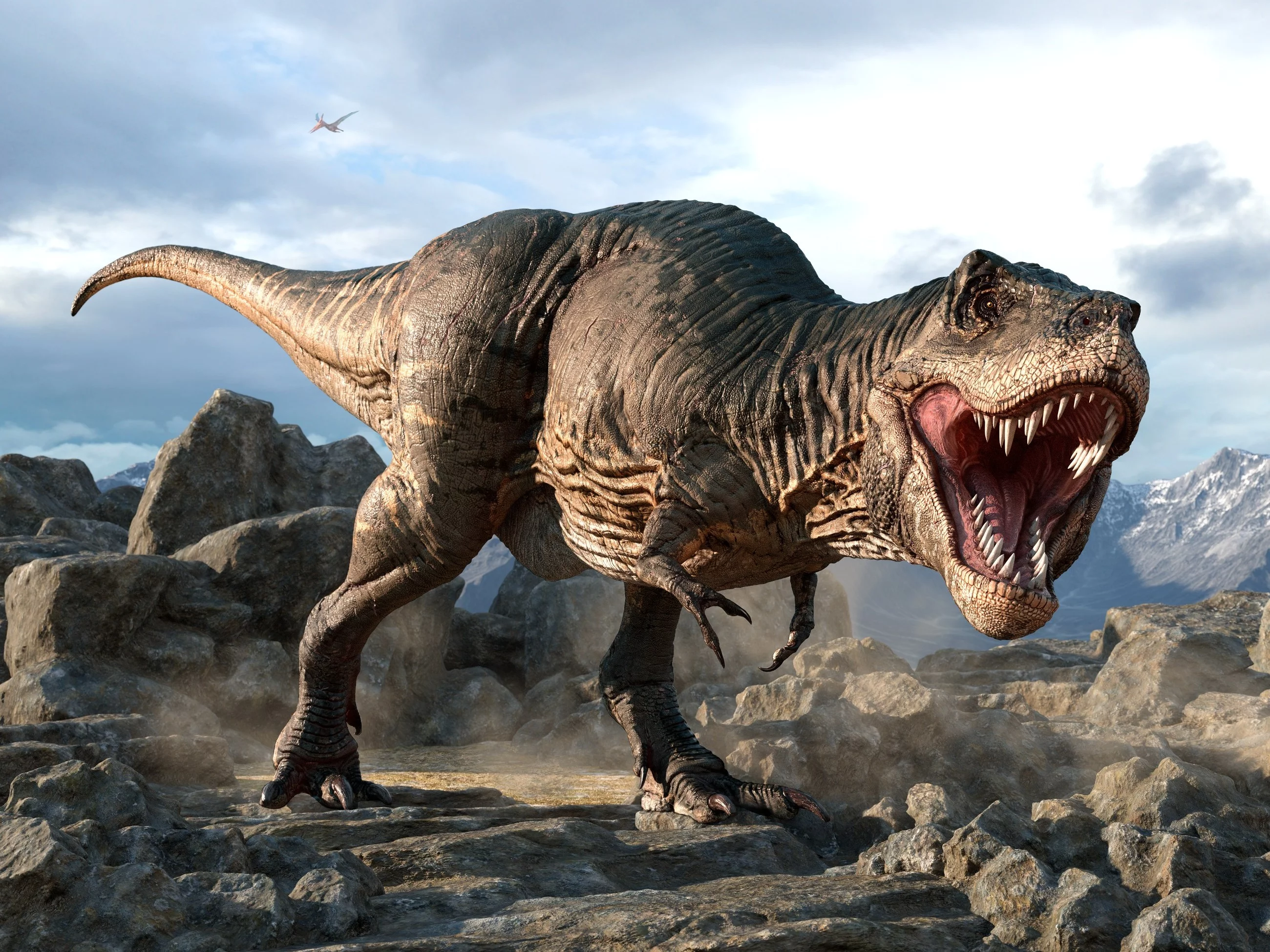 Tyrannosaurus Rex, ilustracja poglądowa