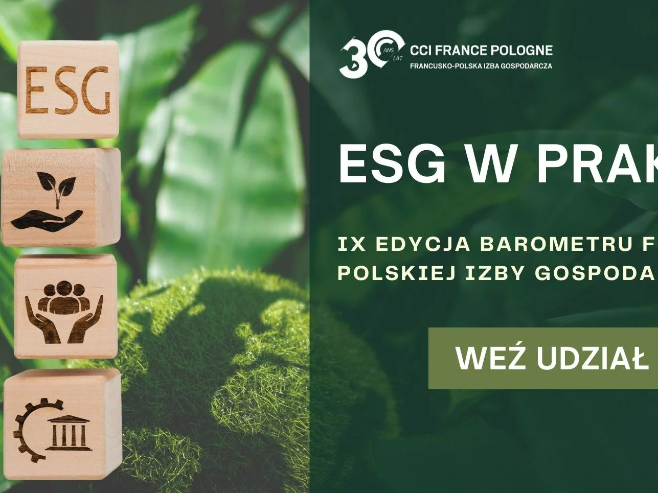 ESG w praktyce