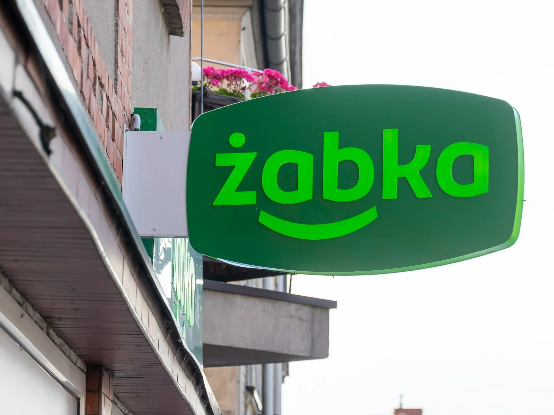 Czy Żabka będzie otwarta 24 grudnia? Sieć odpowiada