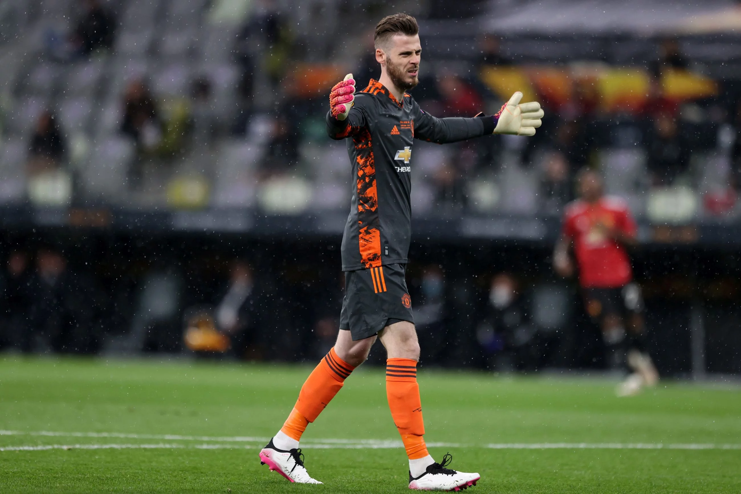 David de Gea