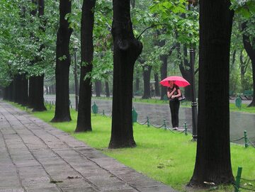 Deszcz w parku