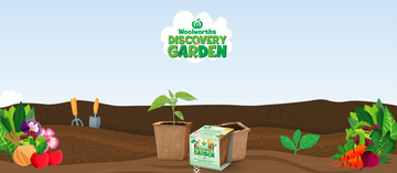 Discovery Garden