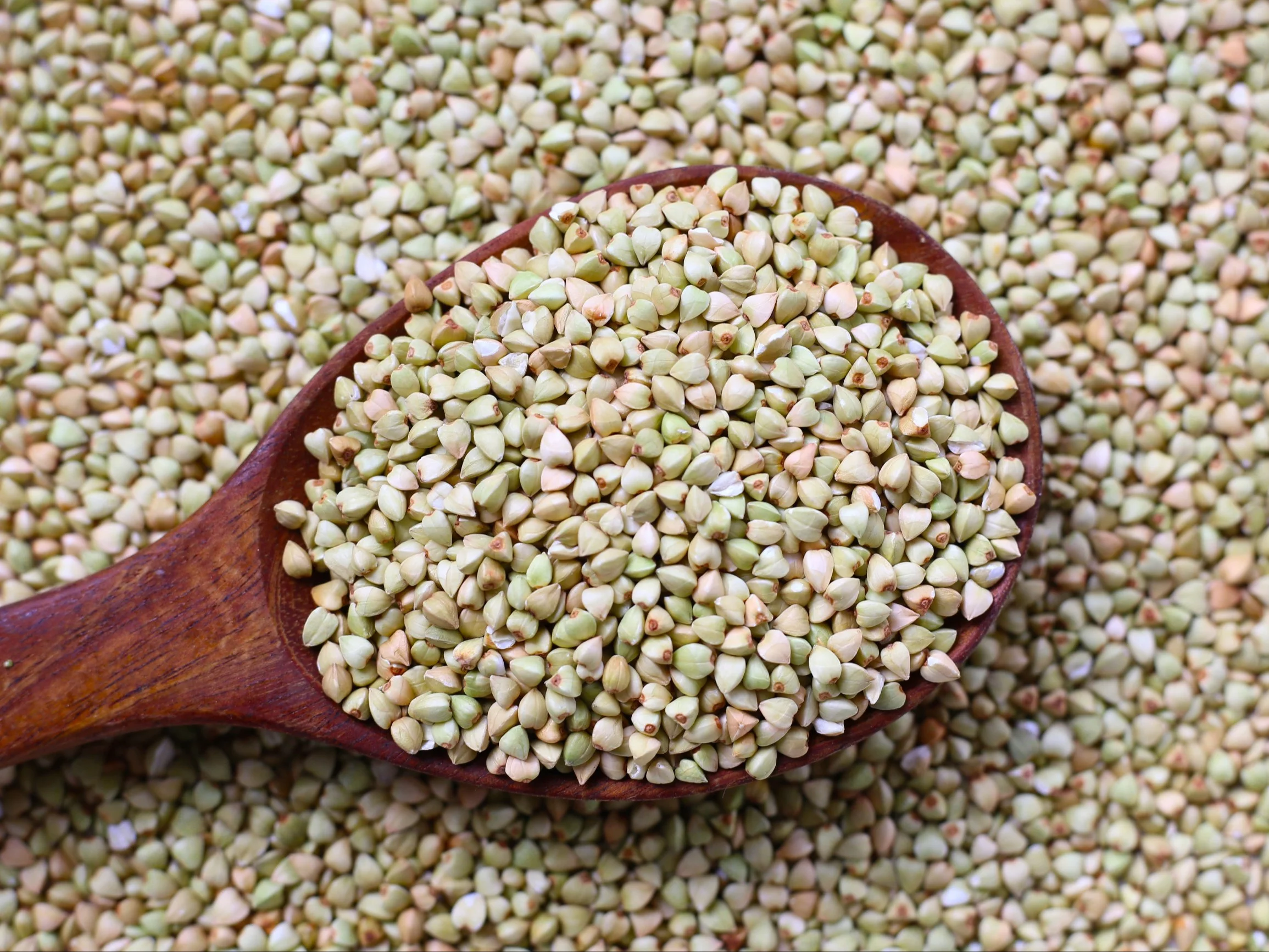 Kasza gryczana niepalona