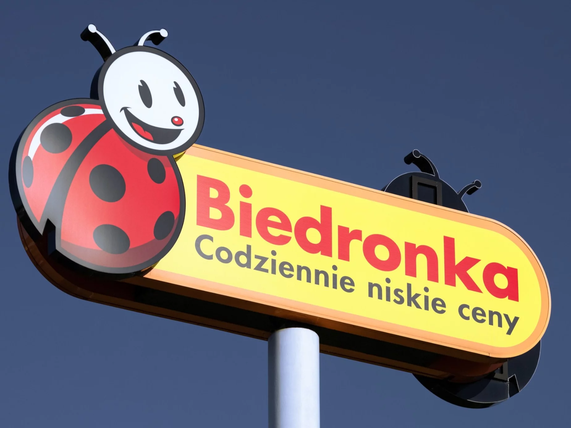 Biedronka