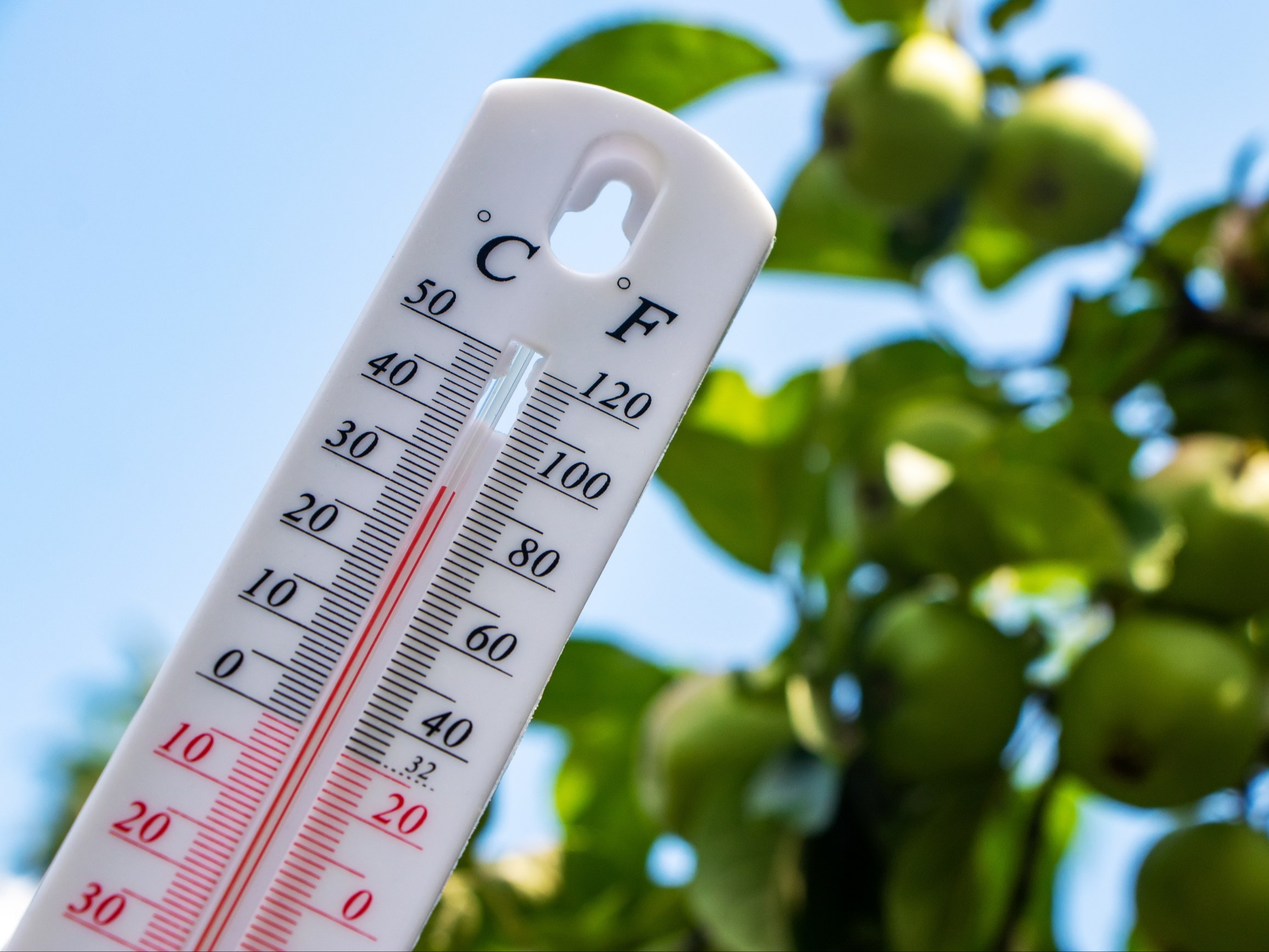 Do Polski zmierza wyż Ines. Wszystko wywróci do góry nogami