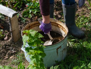 Dobrze napowietrzona herbatka kompostowa działa w ogrodzie cuda!