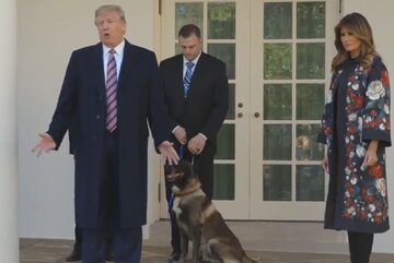 Donald i Melania Trump z psem Conanem