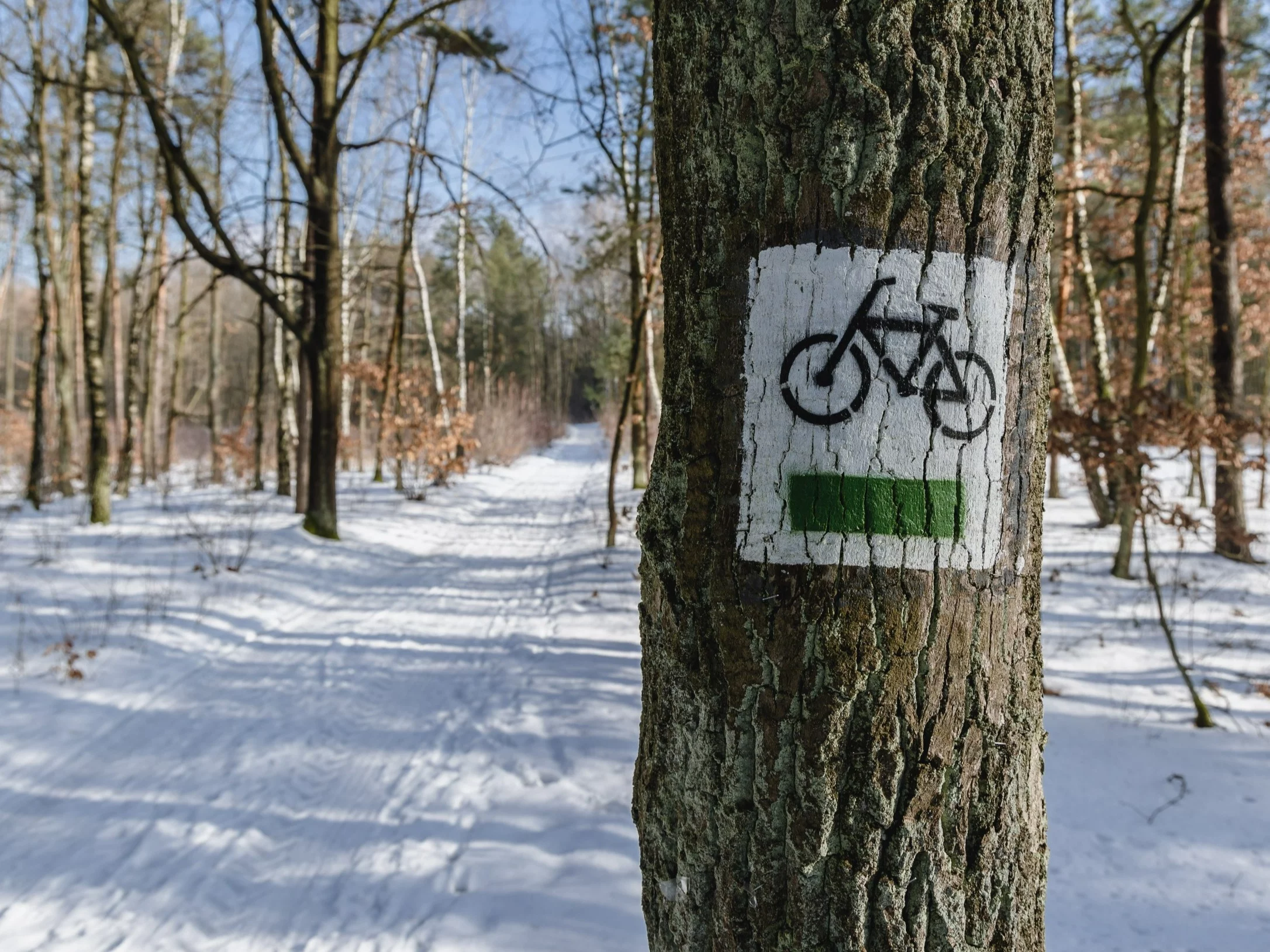 Kampinoski Park Narodowy