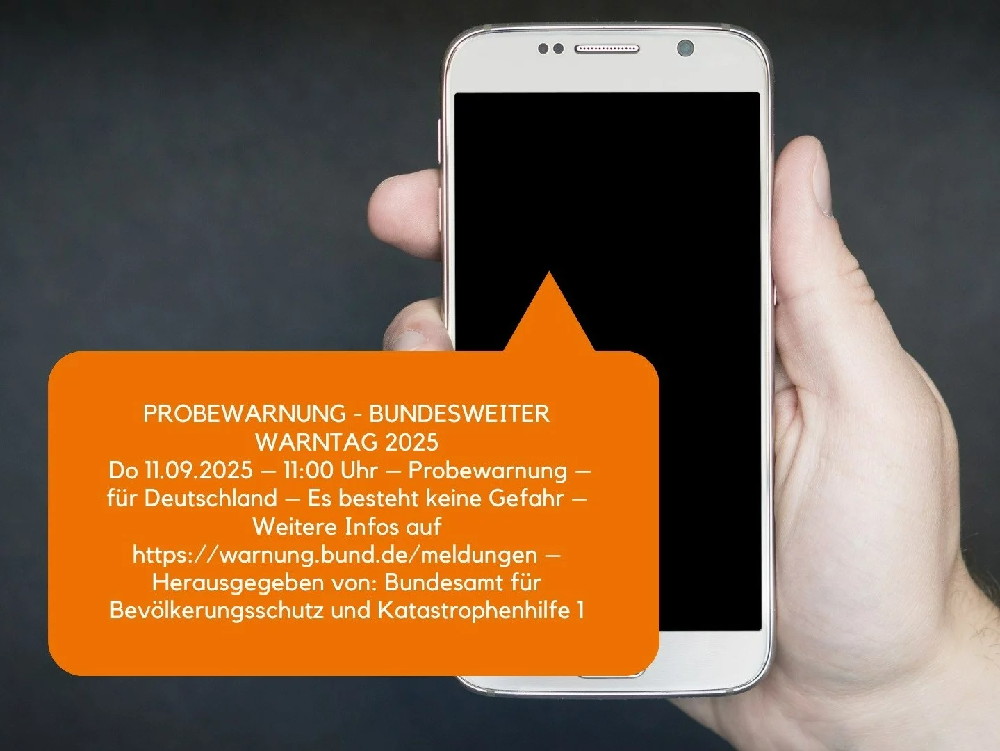 Test systemu ostrzegania na terenie Niemiec