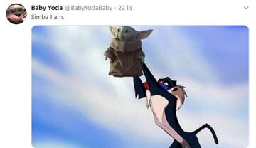 Dowód na miłość internautów do Baby Yody