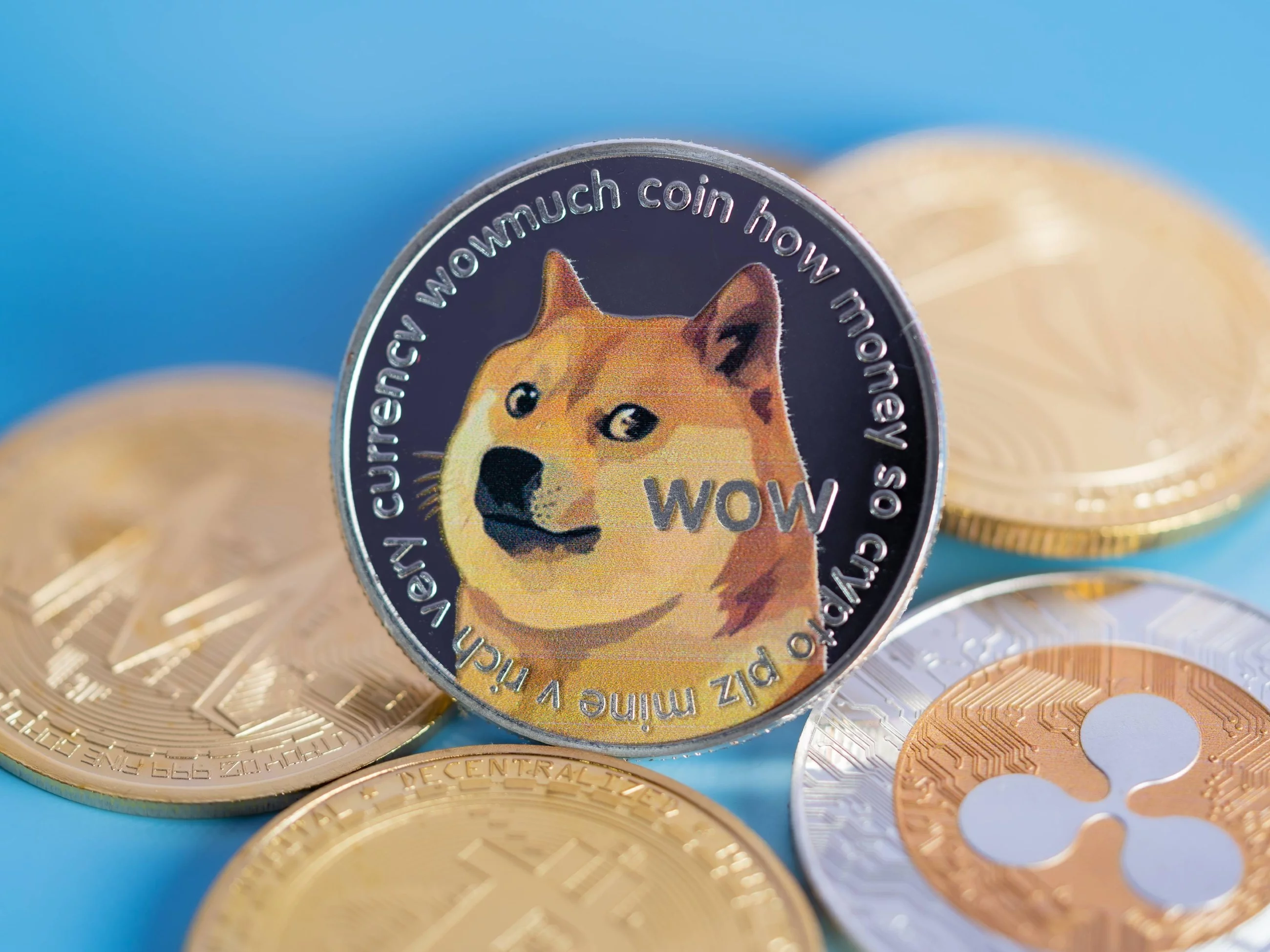 Dogecoin, zdjęcie ilustracyjne