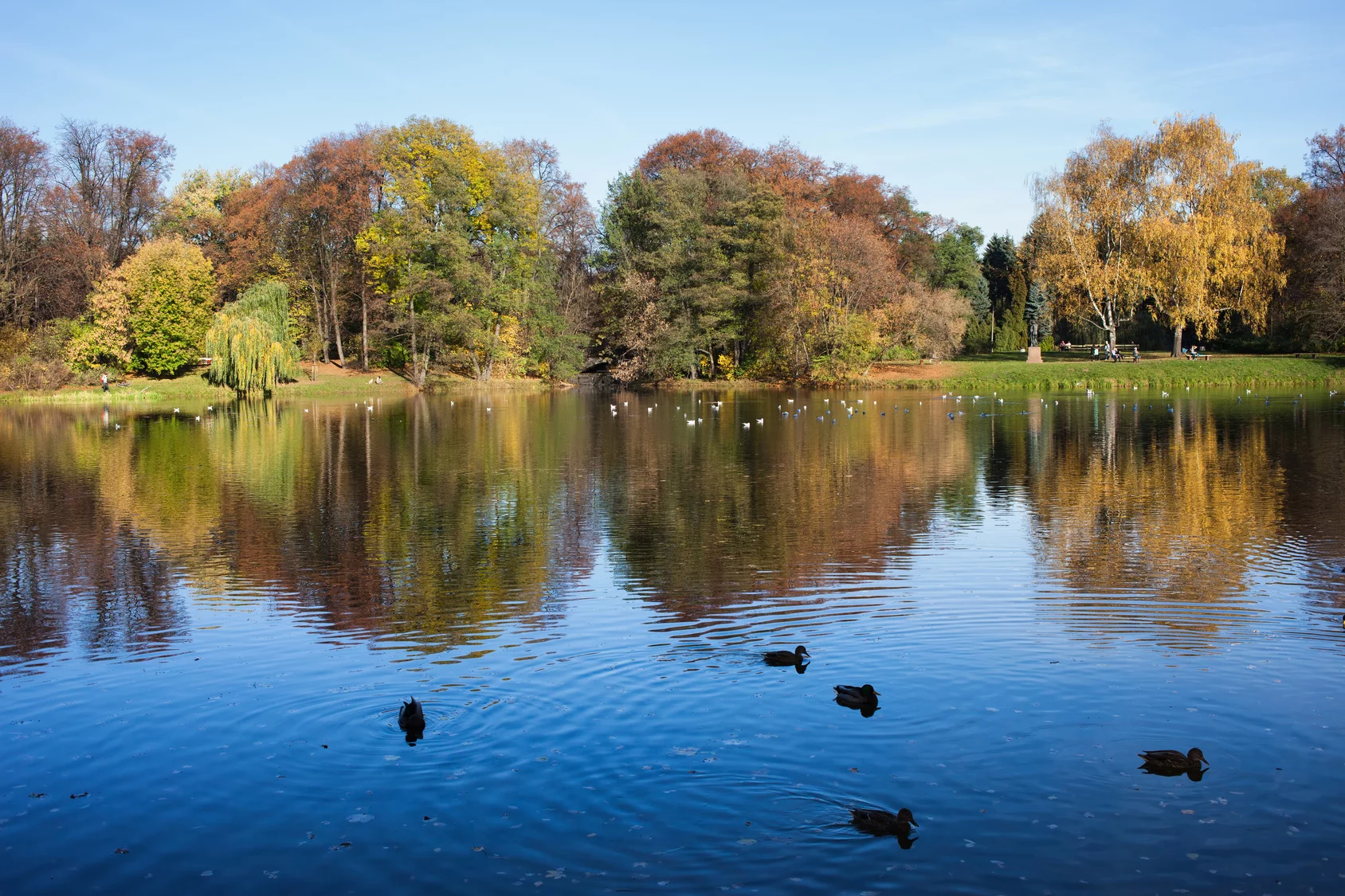 Park Skaryszewski w Warszawie