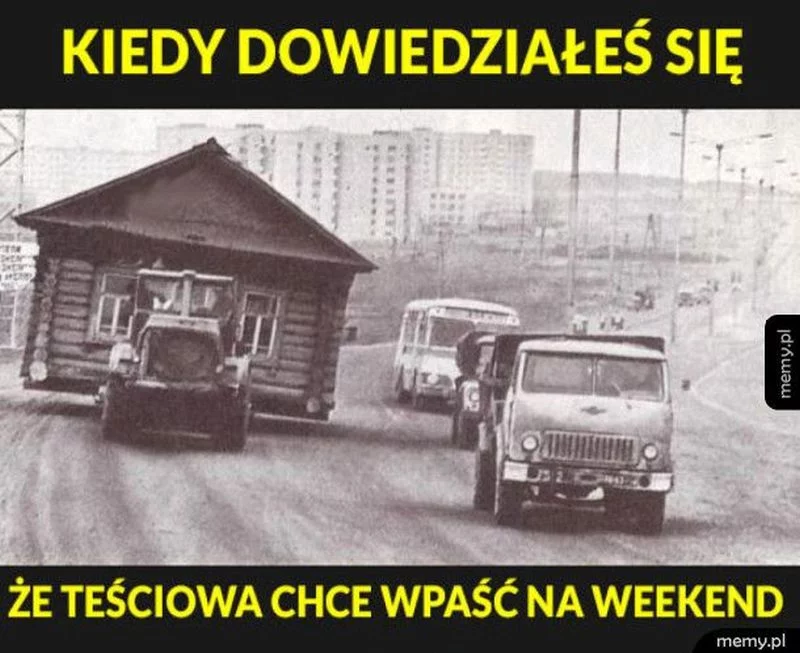 Mem z okazji Dnia Teściowej