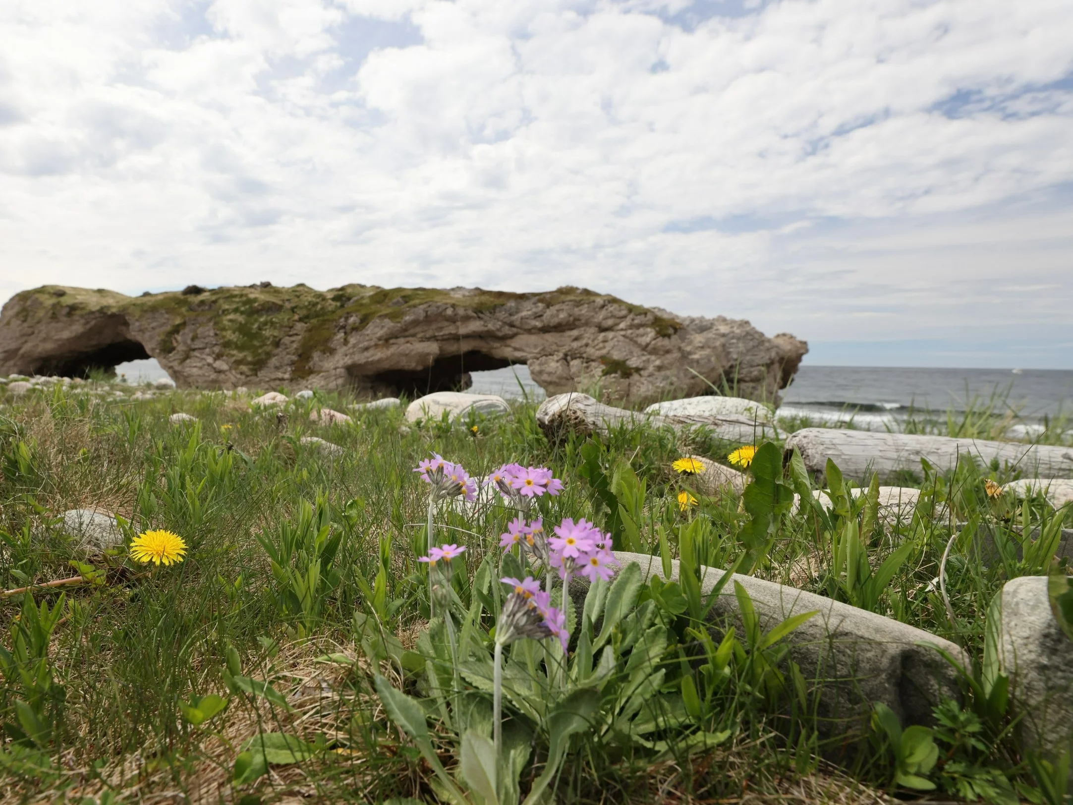 Plaża w Newfoundland