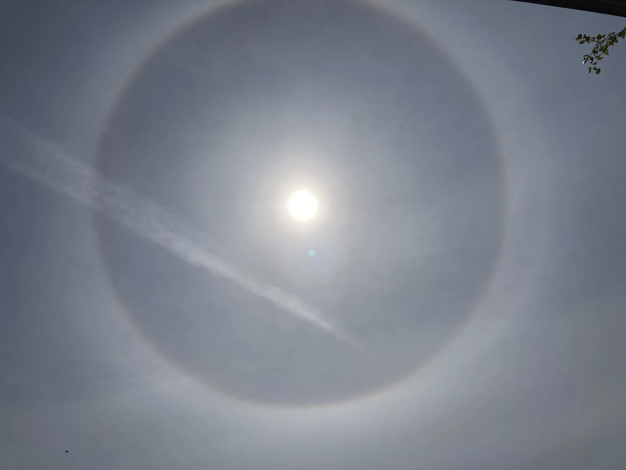 Efekt halo wokół Słońca