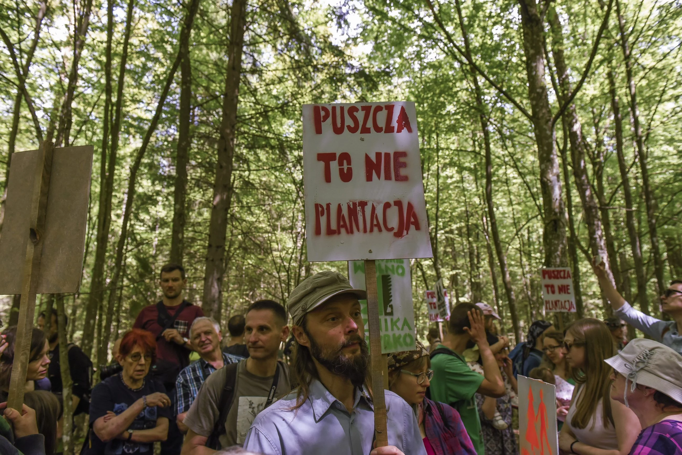 Protest ekologów w Białowieży