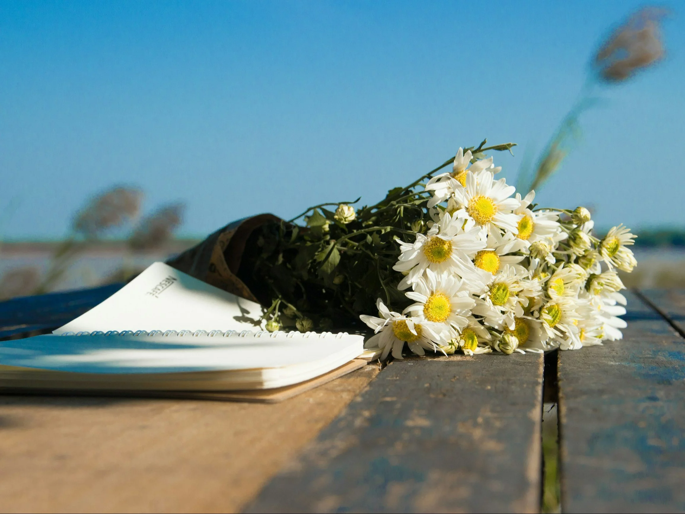 Quiz ortograficzny, zdjęcie ilustracyjne