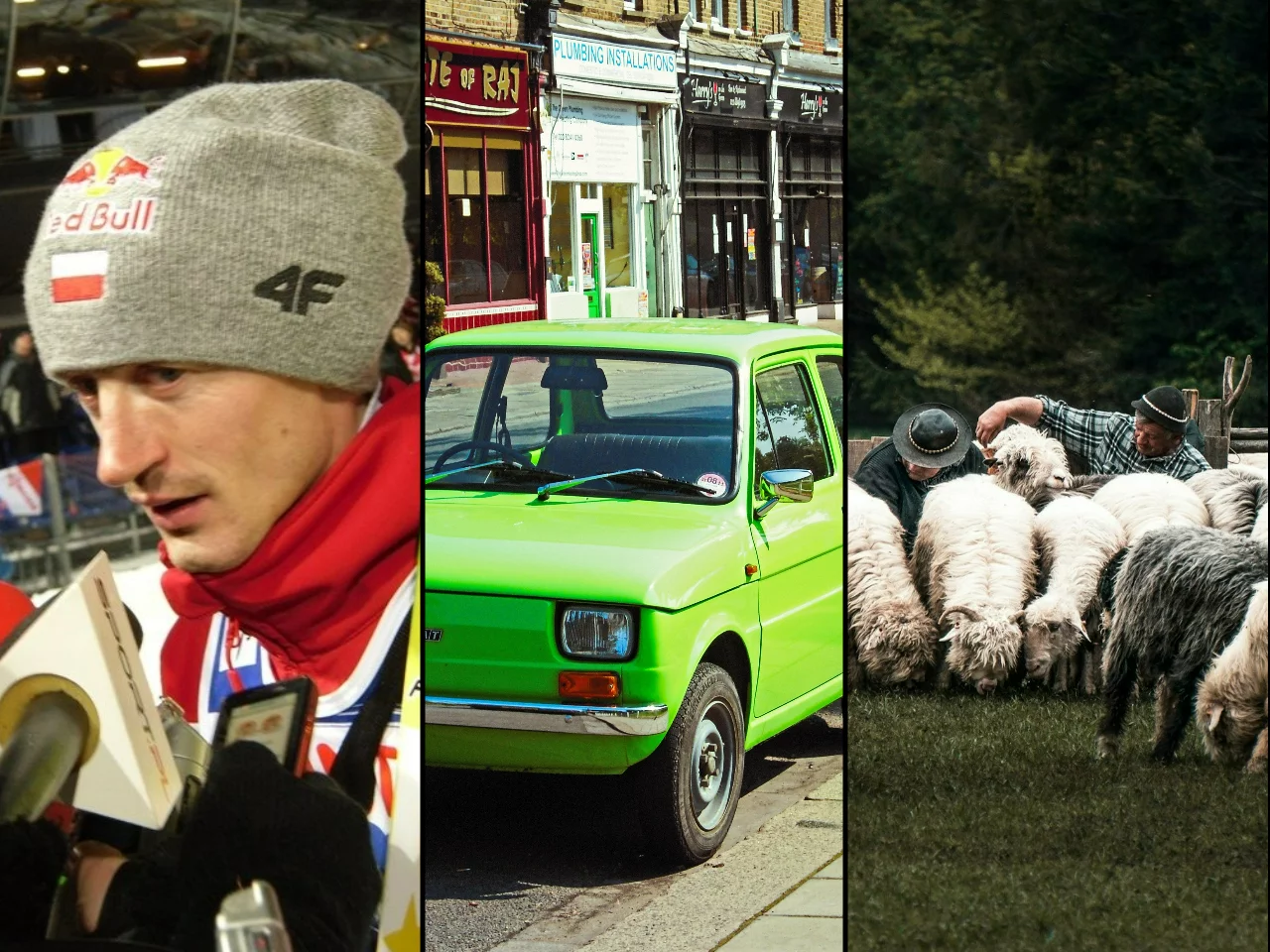 Quiz z wiedzy ogólnej