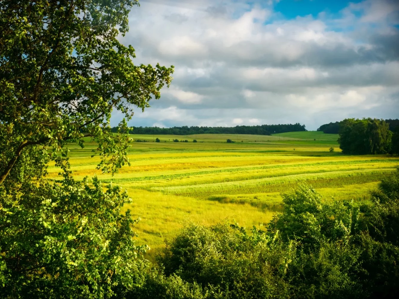 Żona kazała mu wyjść z domu. Senior wrócił z cennym skarbem