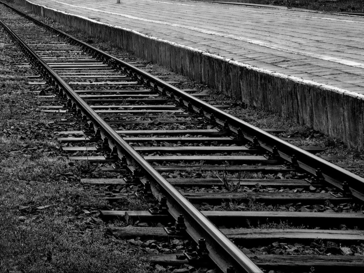 Tory, zdjęcie ilustracyjne