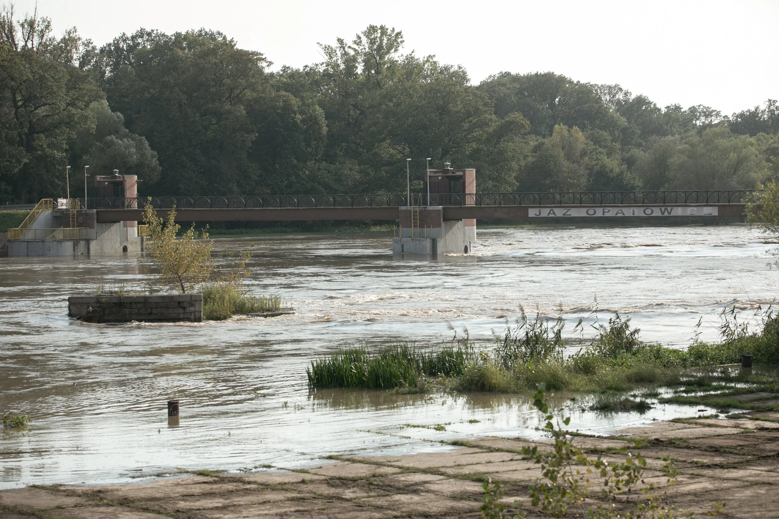 Rosnący poziom wody we Wrocławiu