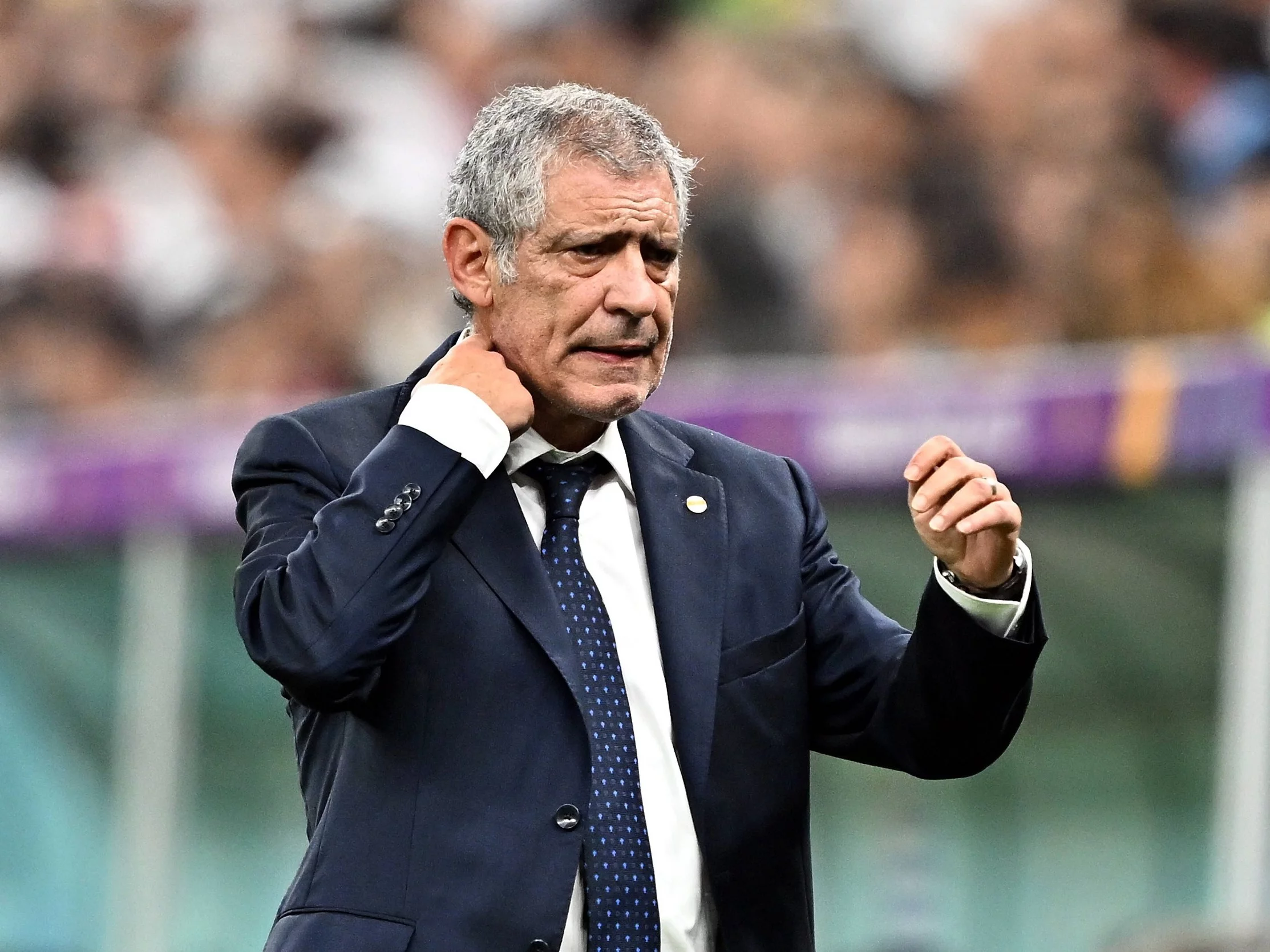 Fernando Santos