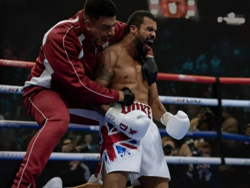 „Fightland”