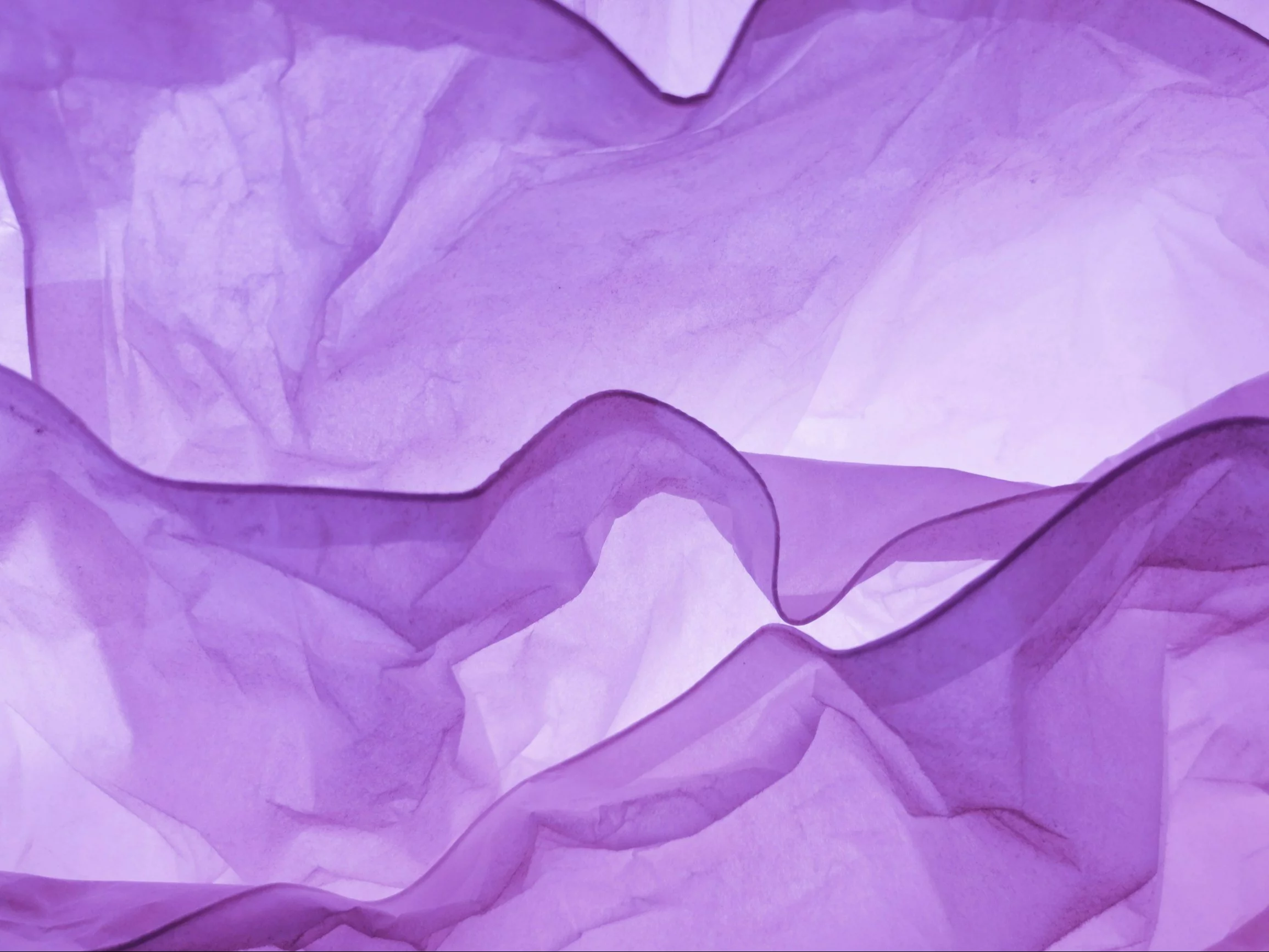 Fioletowy worek na śmieci