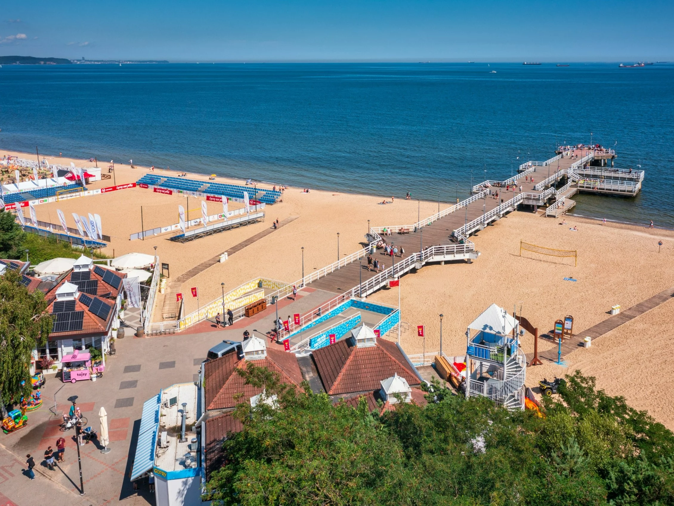 Niecodzienne spotkanie na polskiej plaży. Plażowicze nie kryli zachwytu