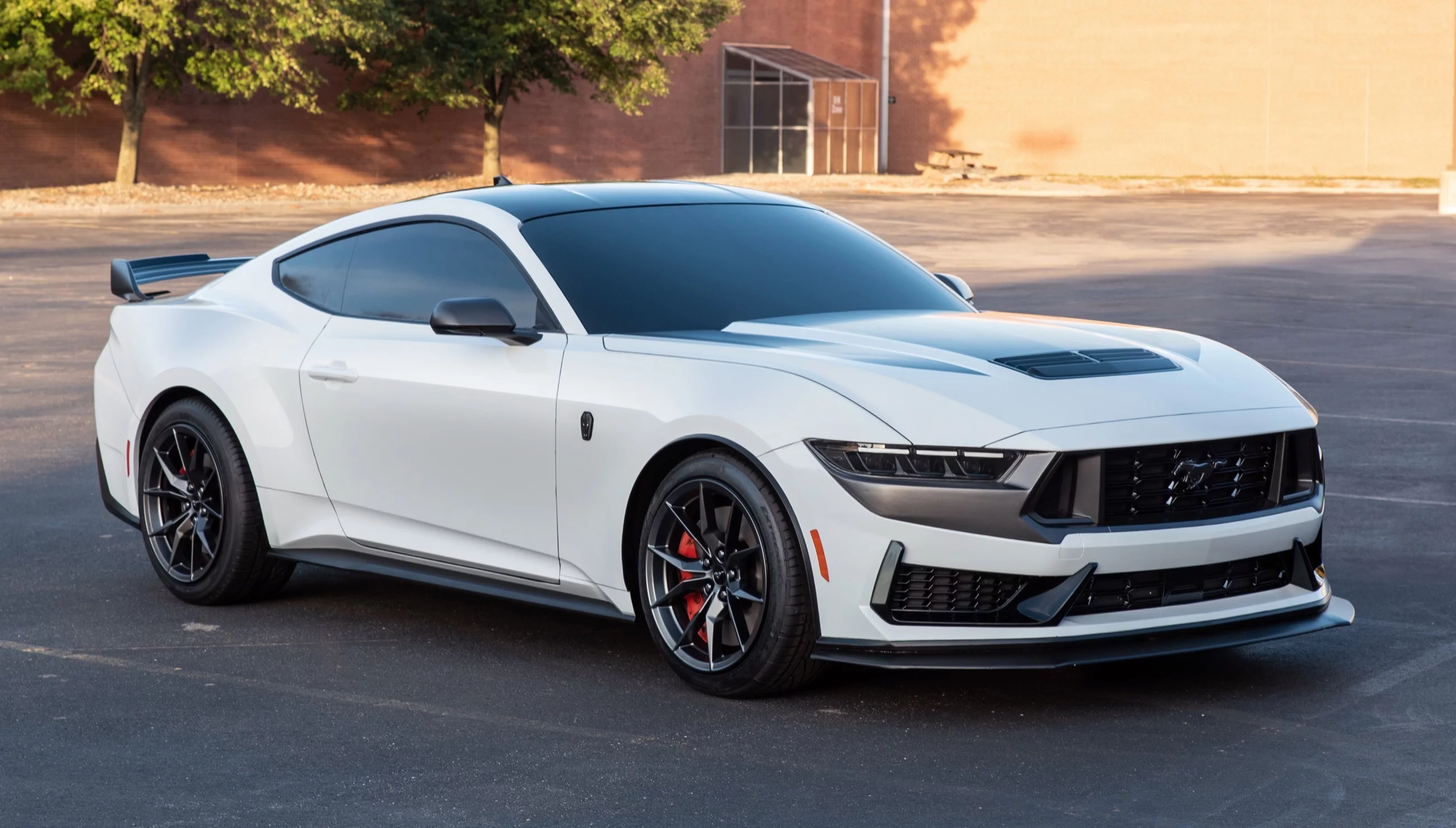 Ford Mustang Dark Horse