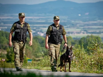 Funkcjonariusze Straży Granicznej