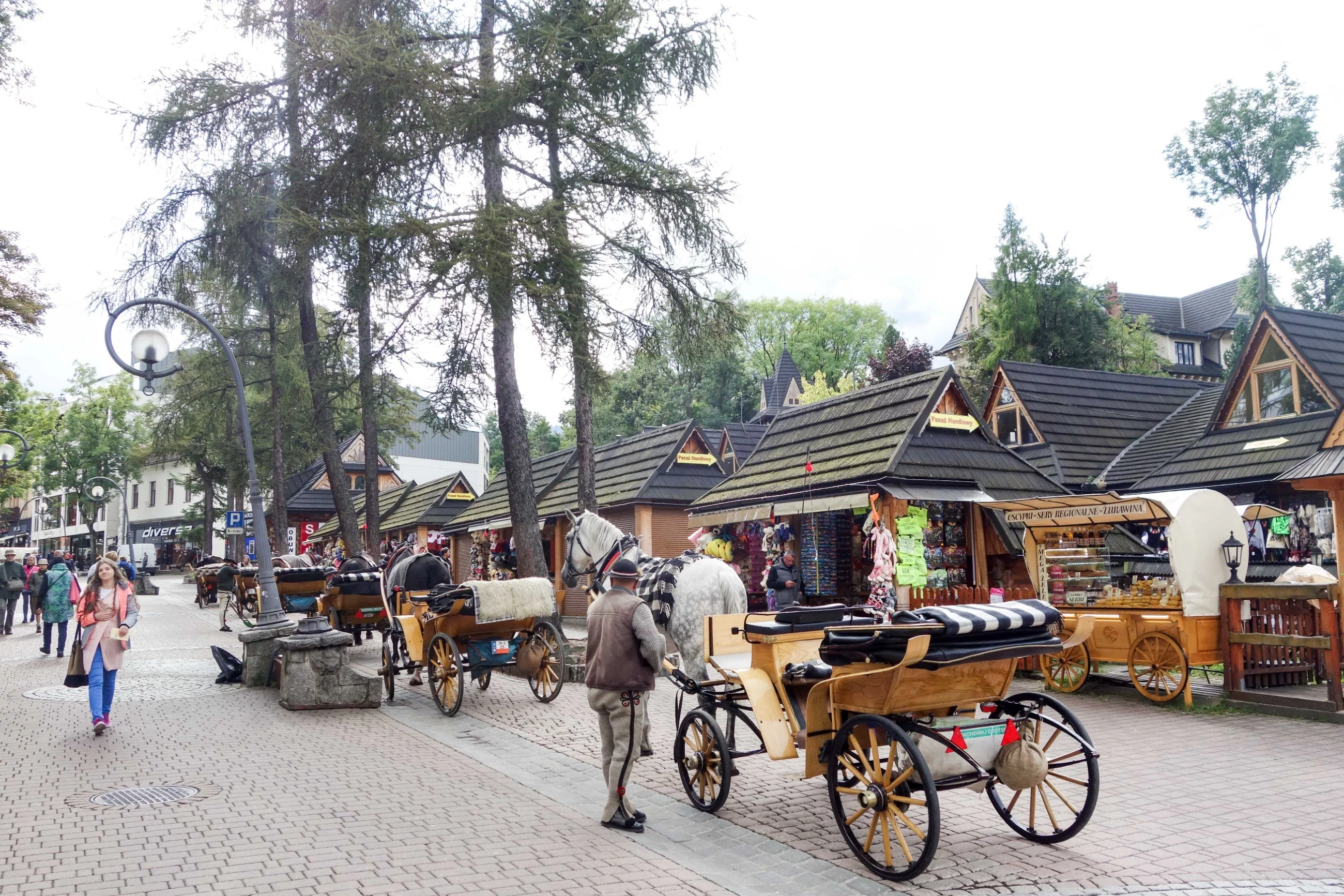 Zaprzęg konny. Zakopane