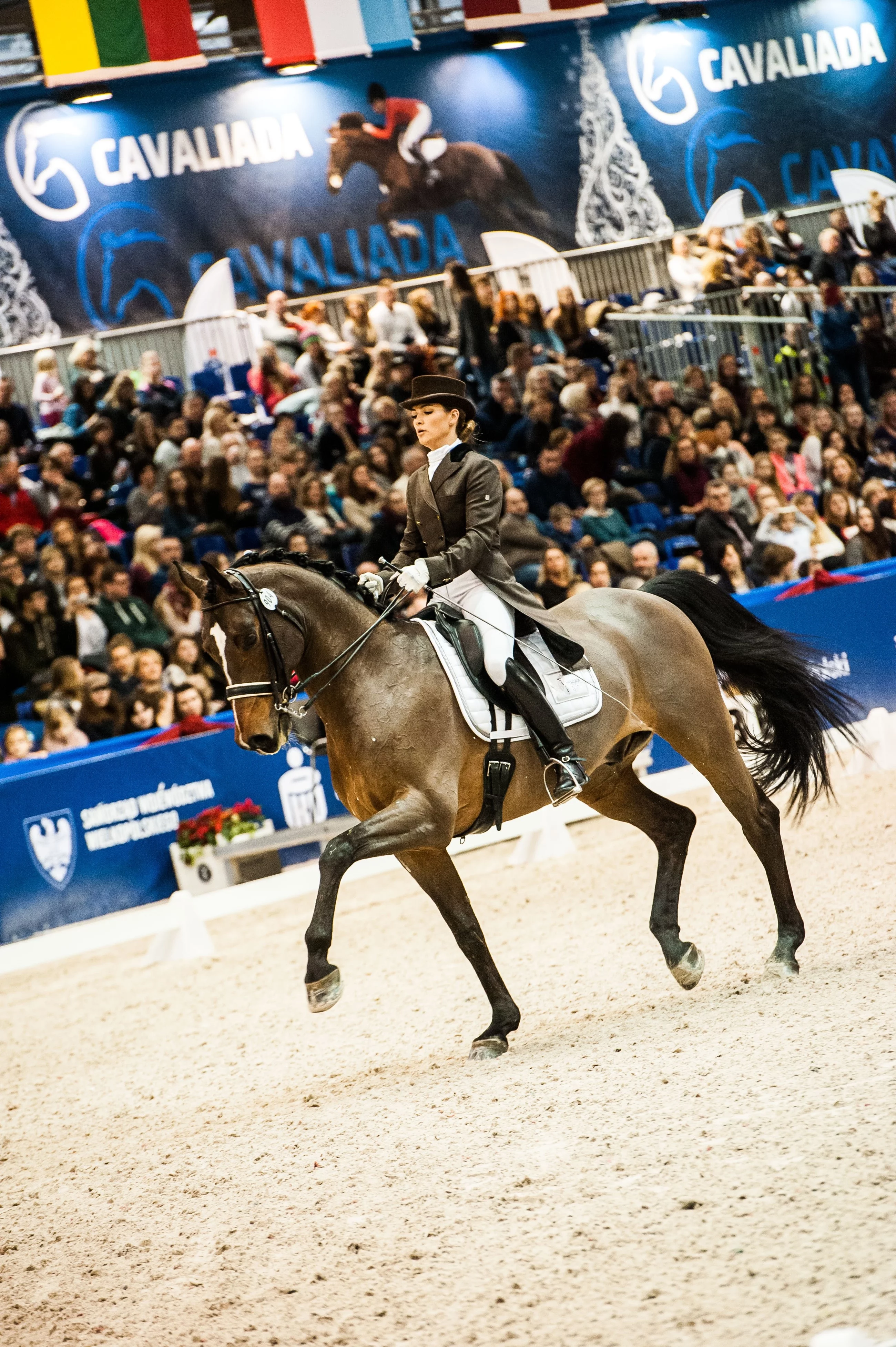 Emilia Jach, zwyciężczyni CAVALIADA Dressage Cup 2017_2018, podczas jednego z konkursów ujeżdżeniowych podczas CAVALIADY
