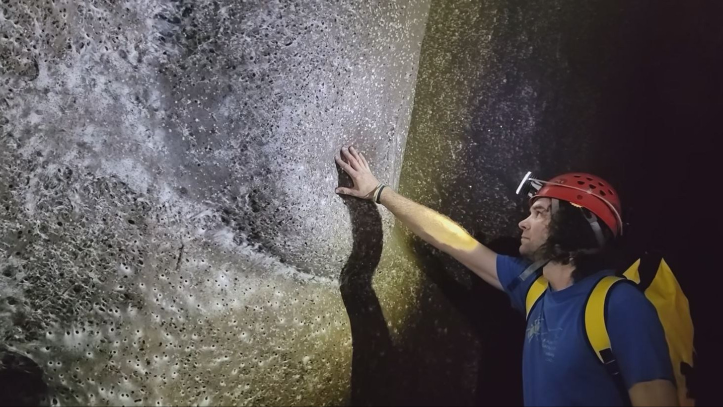 Żyją w całkowitej ciemności, 111 tys. pająków utkało największą pajęczynę świata. Nowe fakty