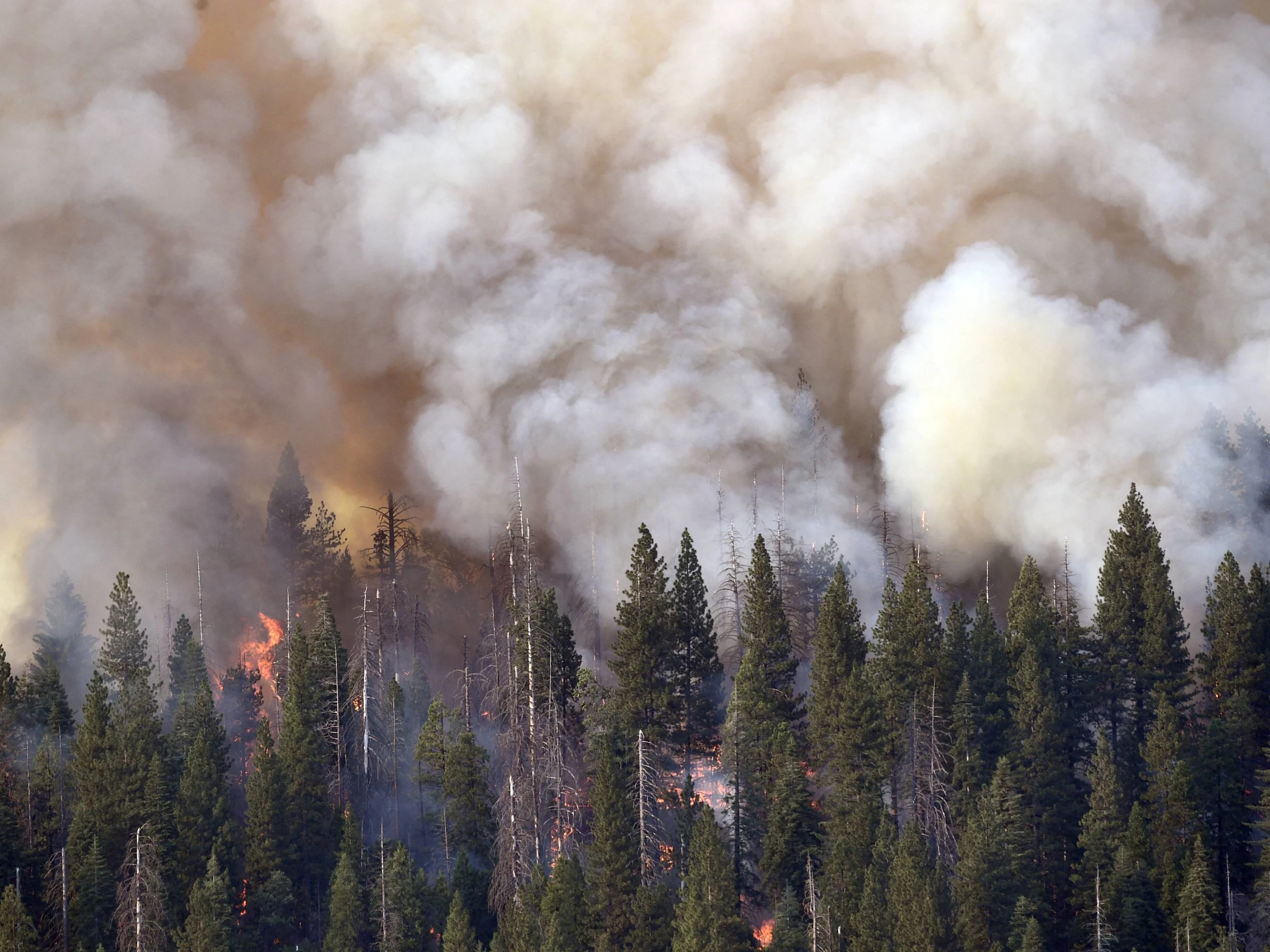 Pożar w parku narodowym Yosemite