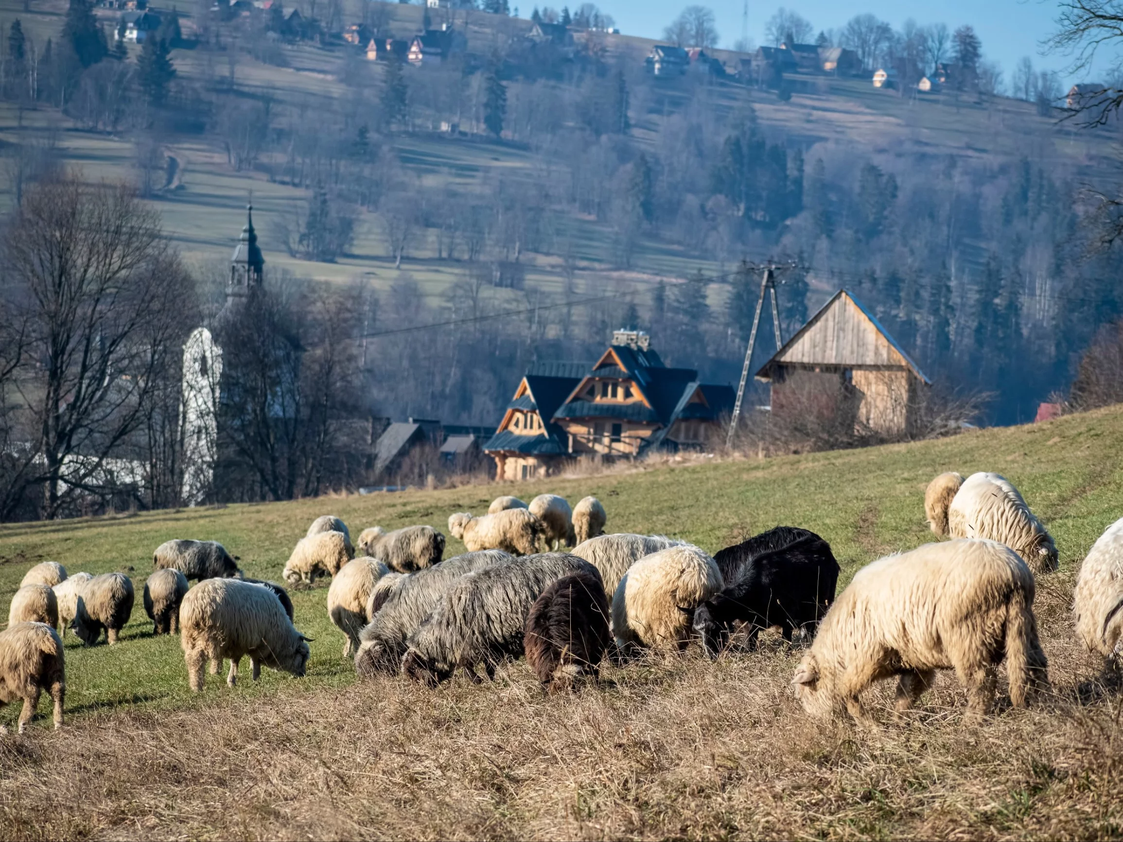 Poronin, Podhale