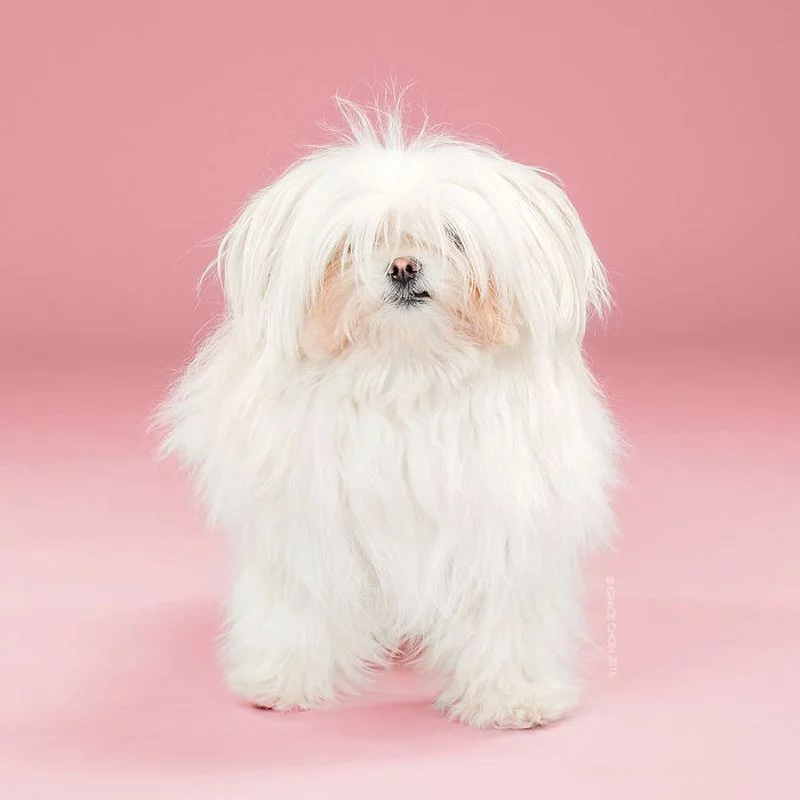 Yuki przed metamorfozą