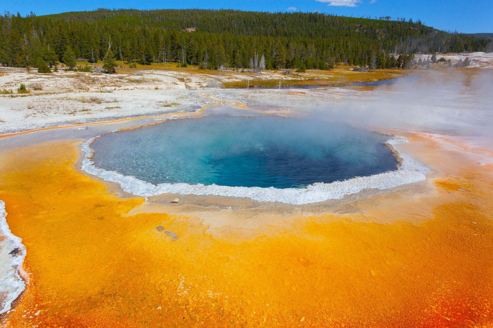 Grand Prismatic Spring w parku Yellowstone