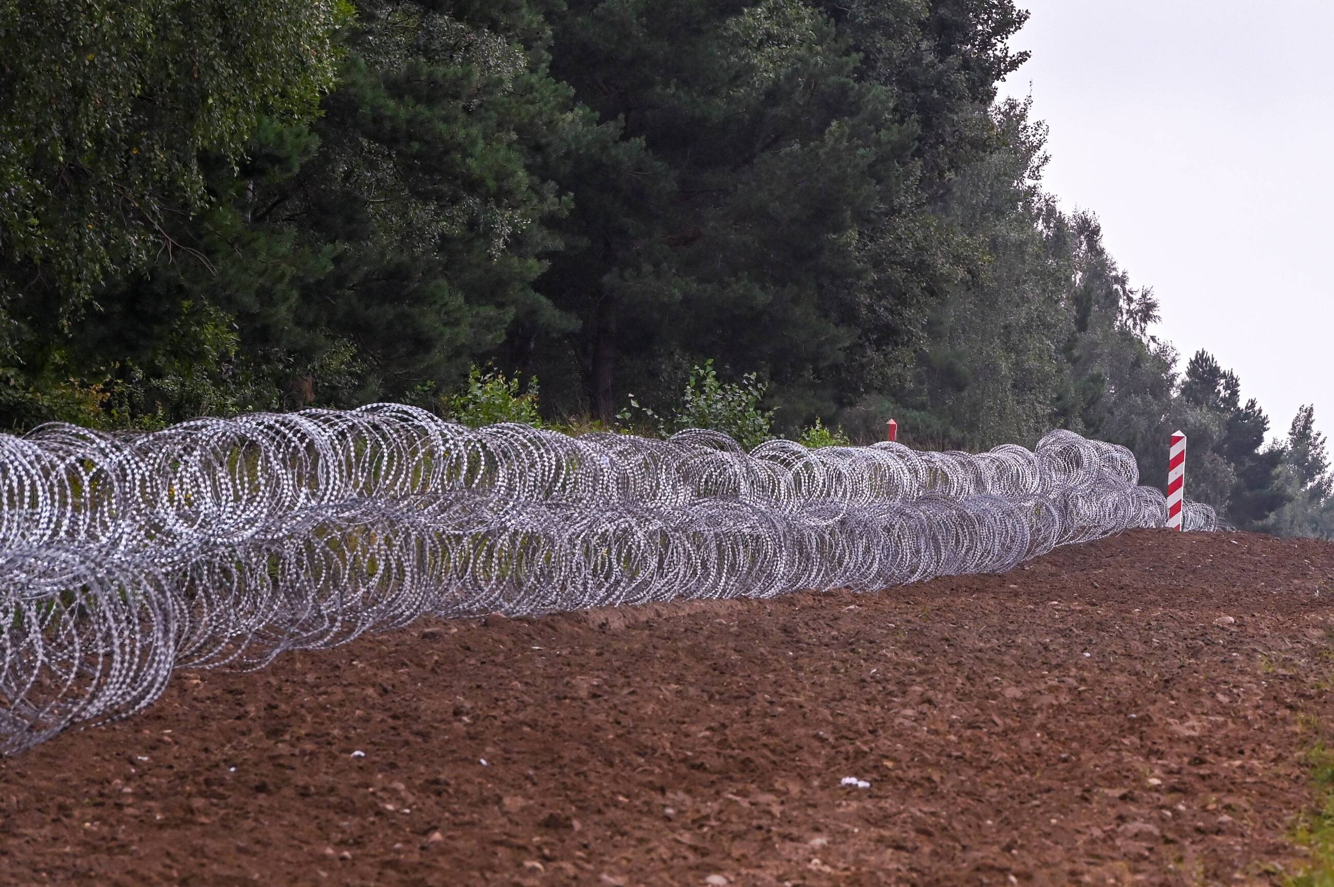 Kryzys Migracyjny Prezes Naczelnej Rady Adwokackiej Wzywa Do Działania Rzecznika Praw Dziecka 0801