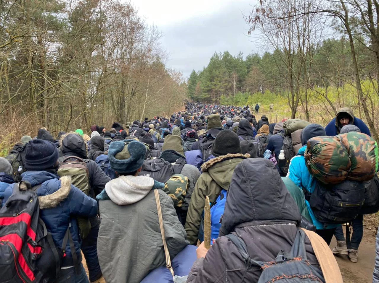 Migranci na polsko-białoruskiej granicy