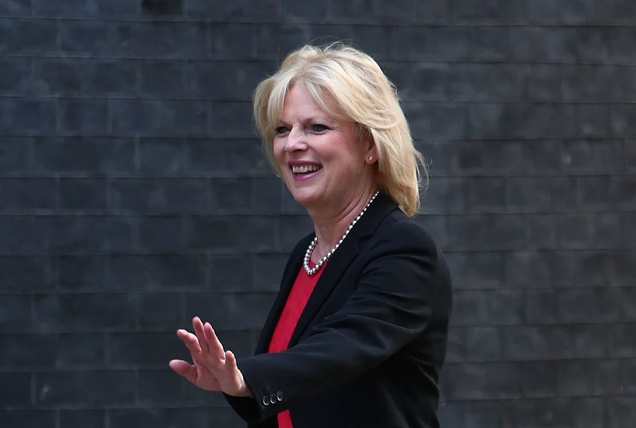 Deputowana Anna Soubry