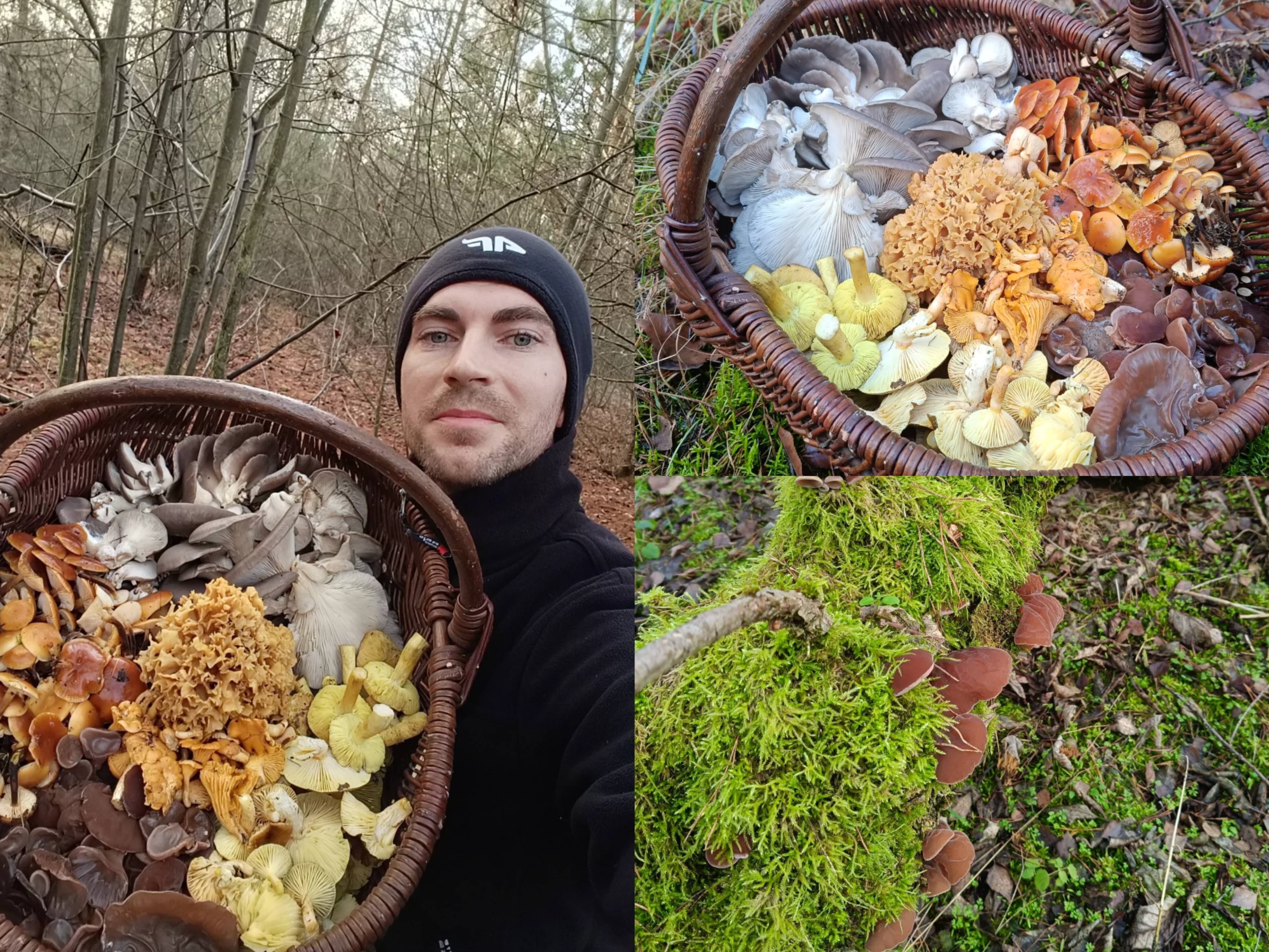 Pełny koszyk w grudniu. Grzybiarz pokazuje nietypowe zbiory