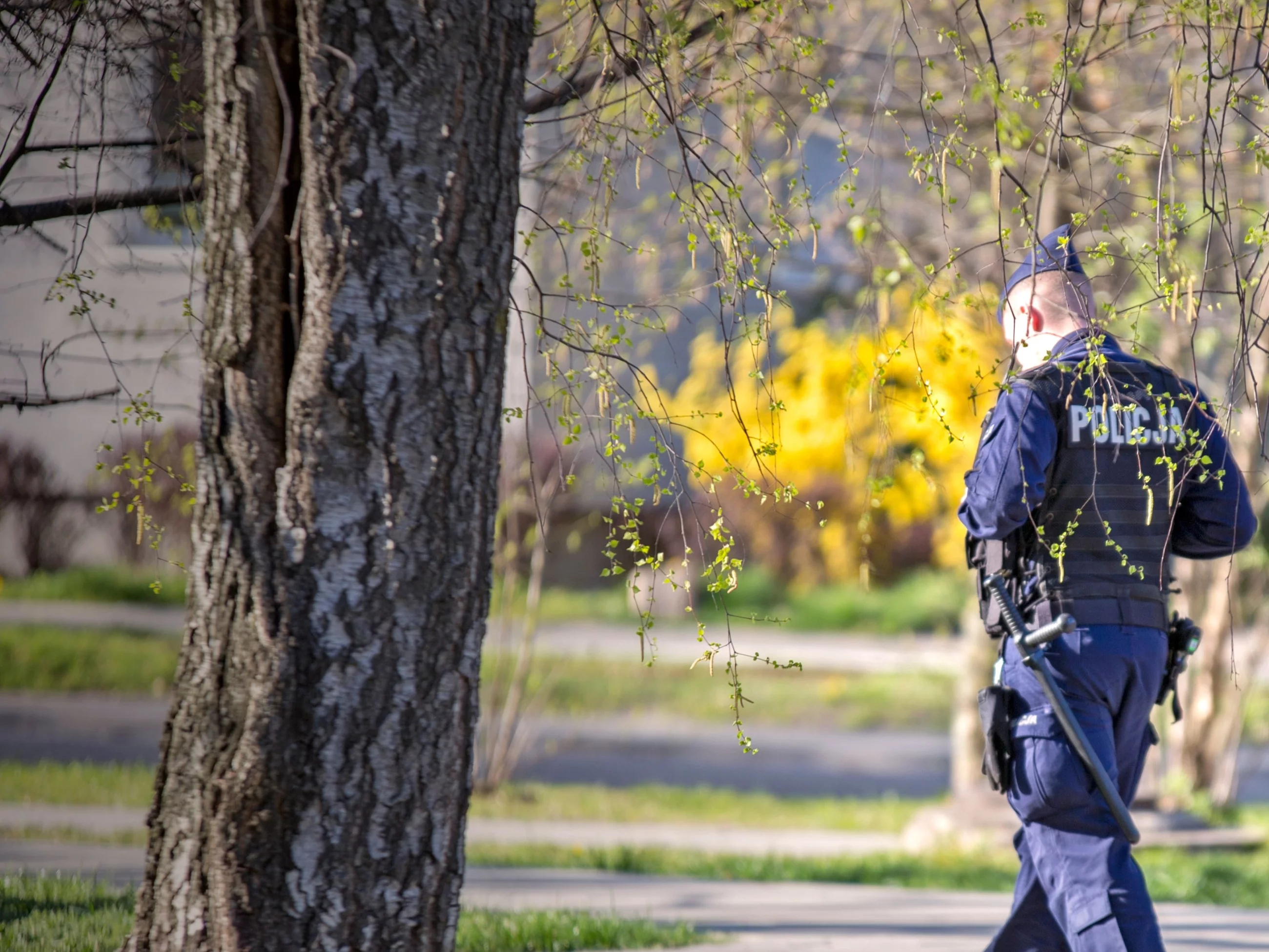 Policja, poszukiwania, zdjęcie ilustracyjne