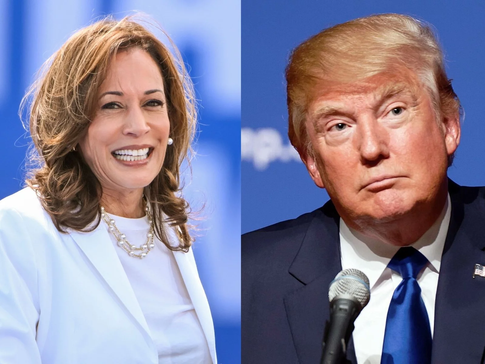 Kamala Harris i Donald Trump /