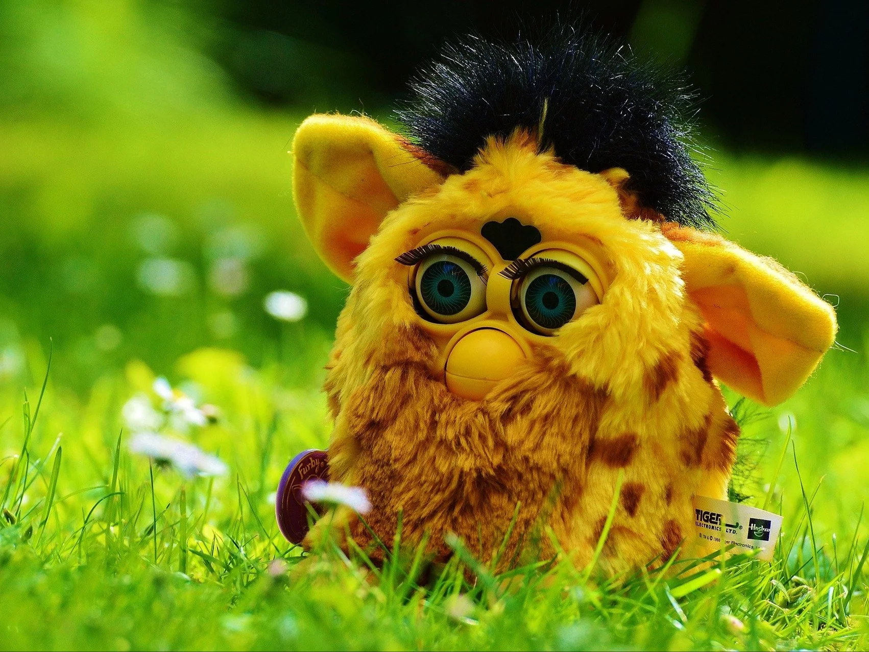 Furby