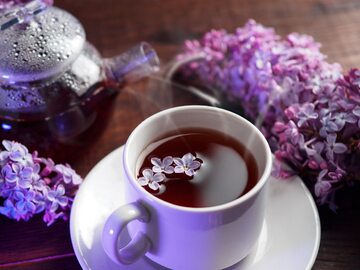 Herbata z lilaka