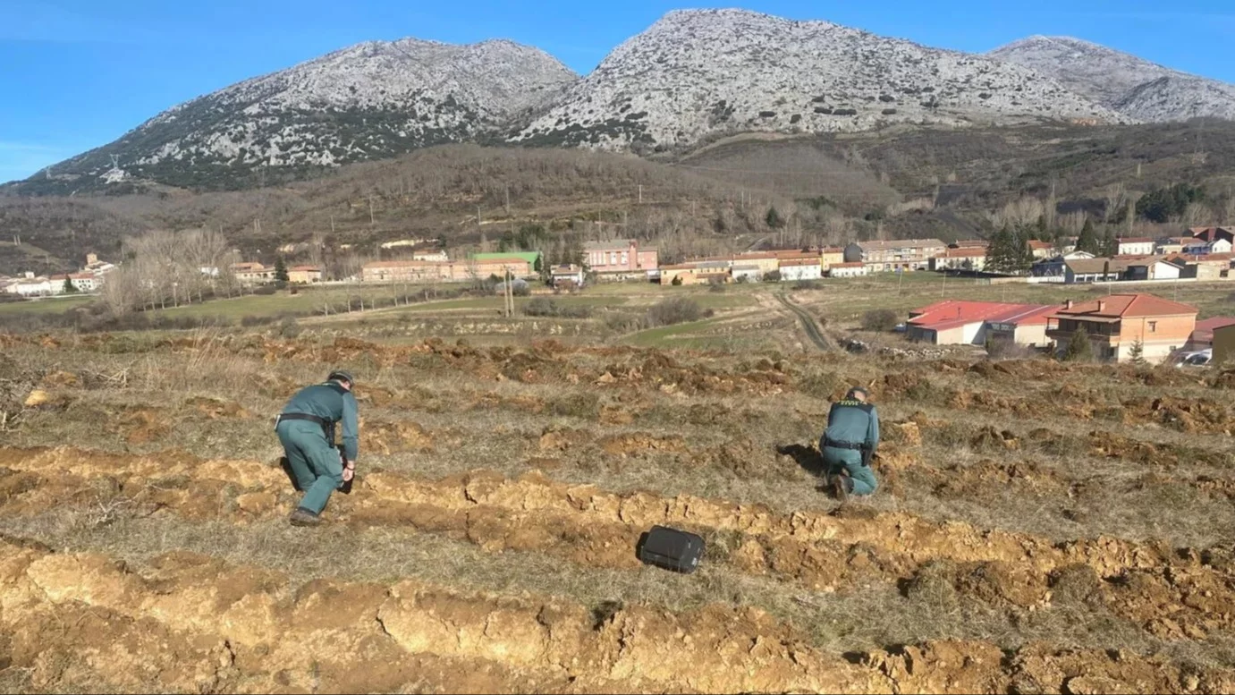 Hiszpania. Zniszczyli cenne stanowiska archeologiczne, bo chcieli posadzić drzewa