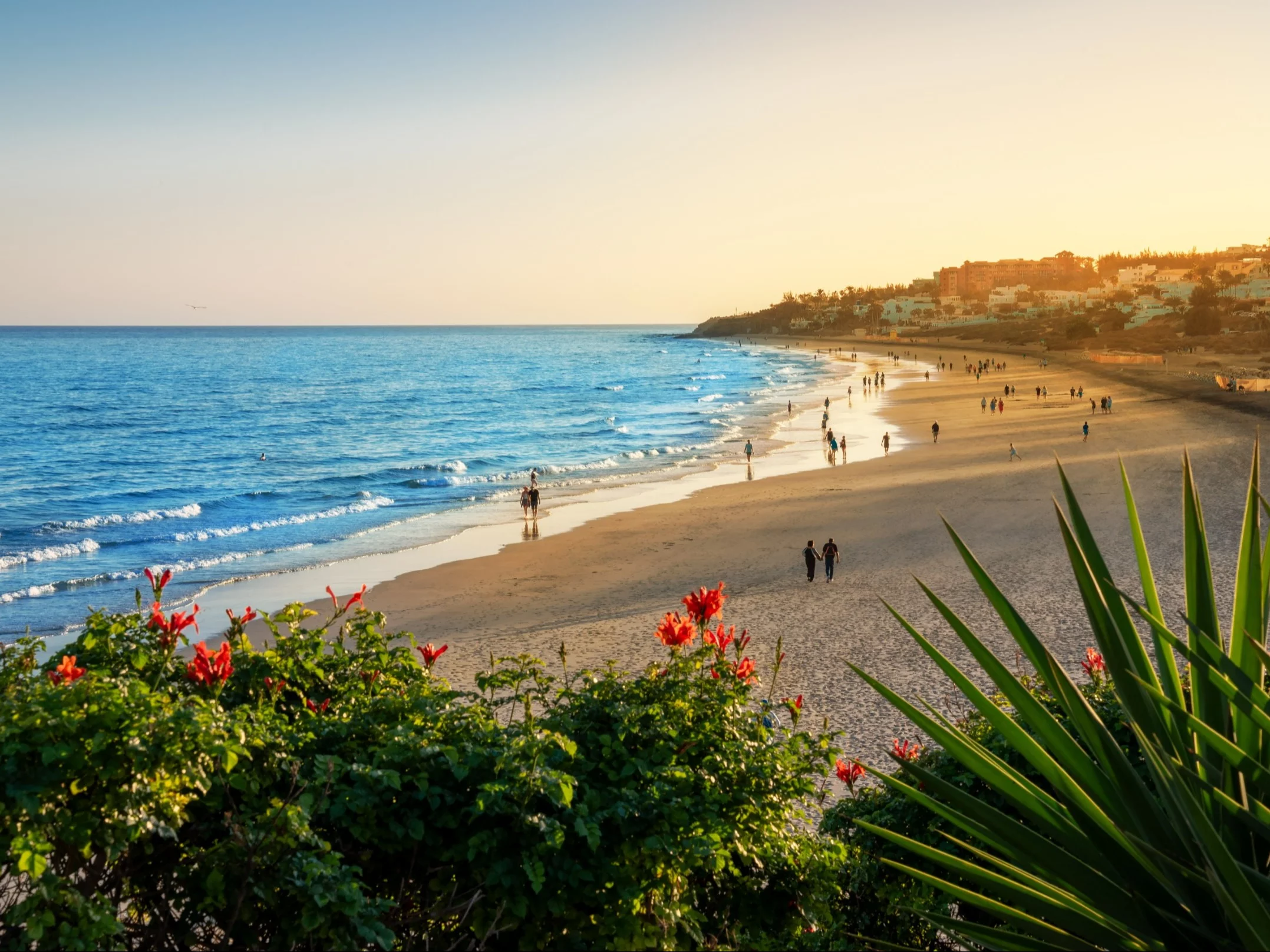 Hit na grudzień. Loty na słoneczną wyspę za 450 zł w dwie strony