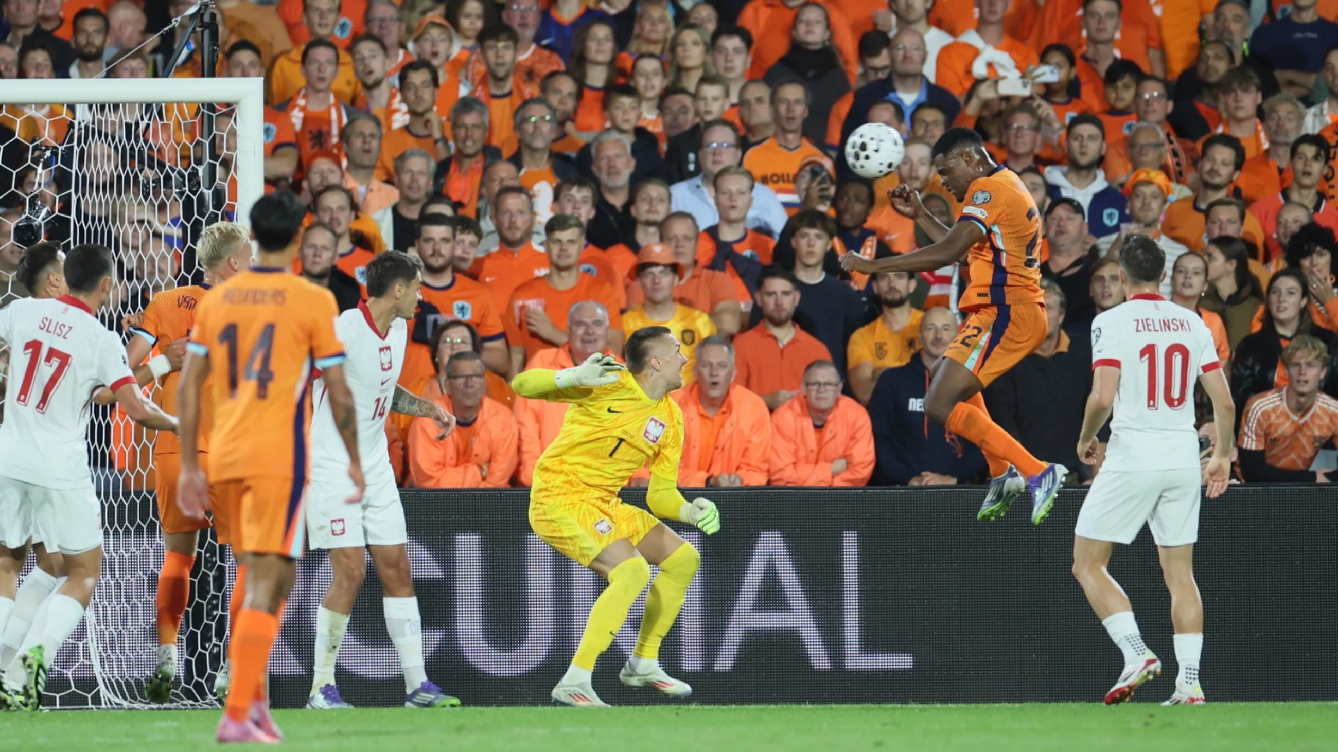 Reprezentacja Holandii