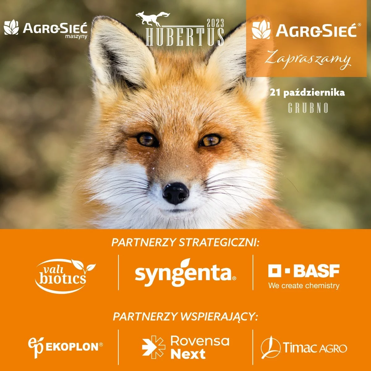 Hubertus 2023: widowiskowe święto myśliwych